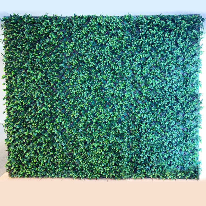 Hire - Wedding Backdrop GreenWall